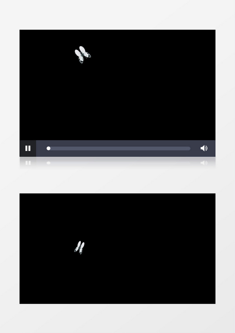 白色蝴蝶飞舞后期视频素材