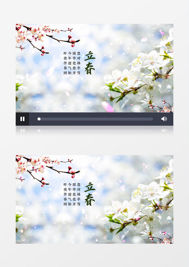 二十四节气立春水墨片头AE模板