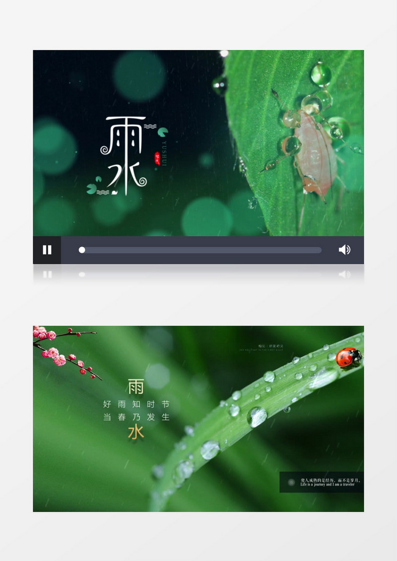 清新唯美二十四节气雨水宣传AE模板