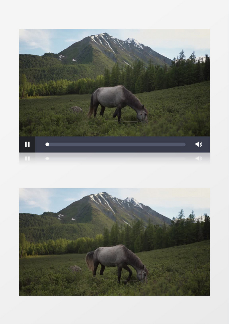一匹棕色的马在郊外的草地上吃草实拍视频素材