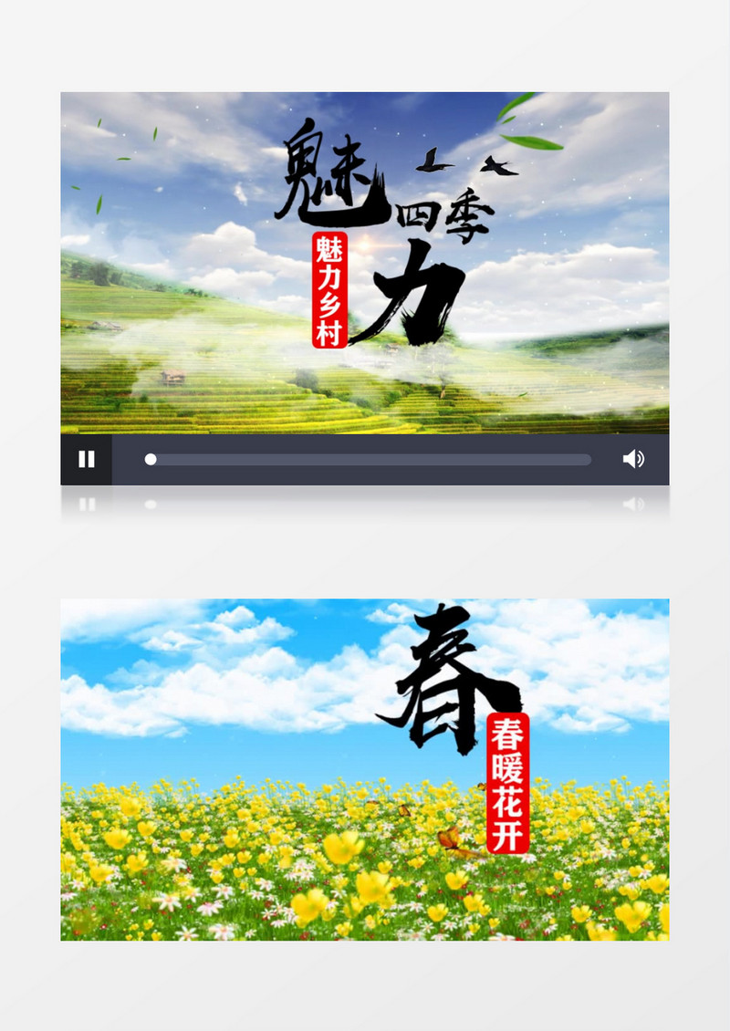 四季美景春夏秋冬变换AE模板