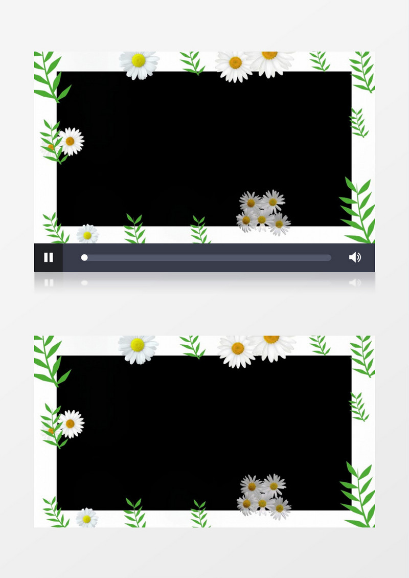 手绘小雏菊花朵视频边框后期素材