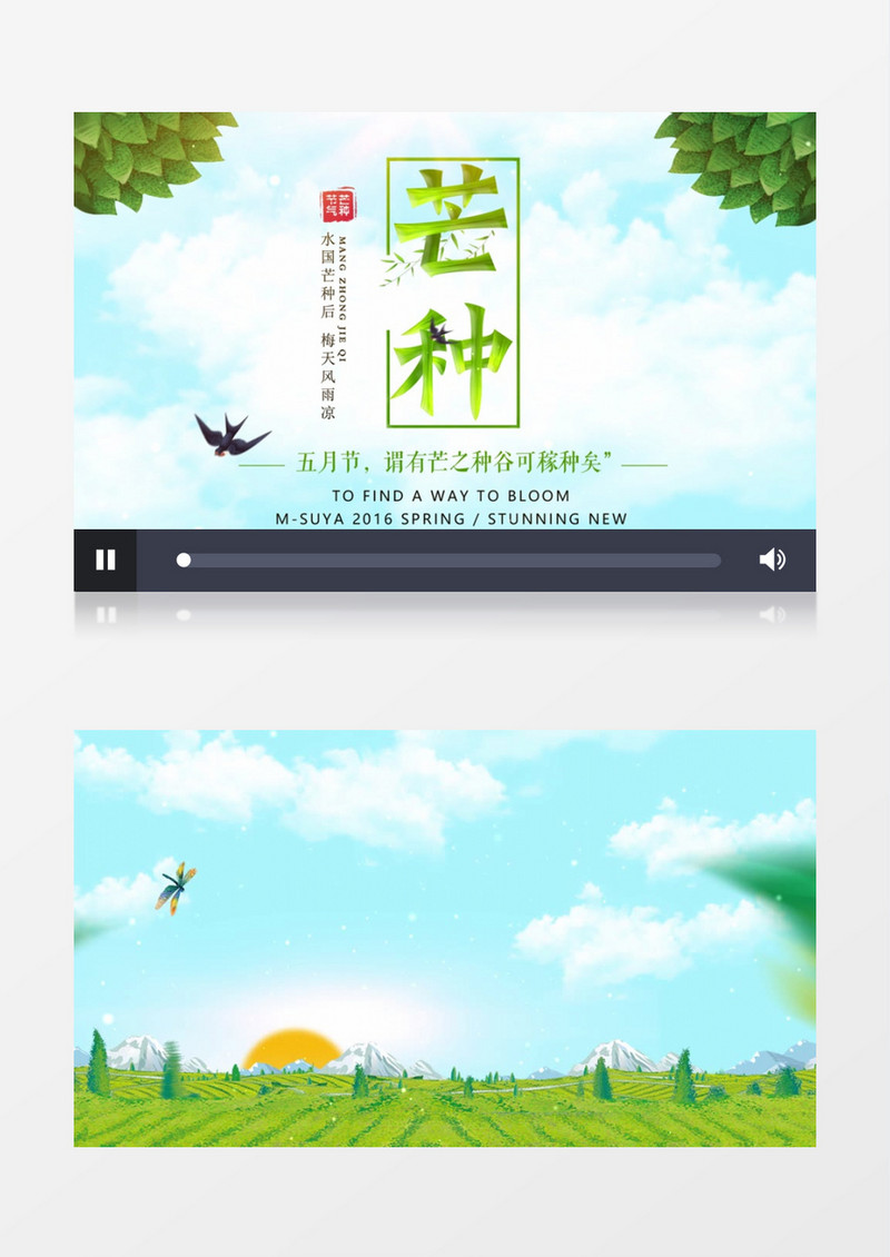 古风二十四节气芒种AE模板
