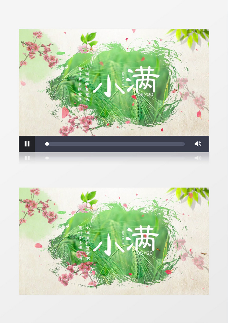 清新古风二十四节气小满片头展示pr模板