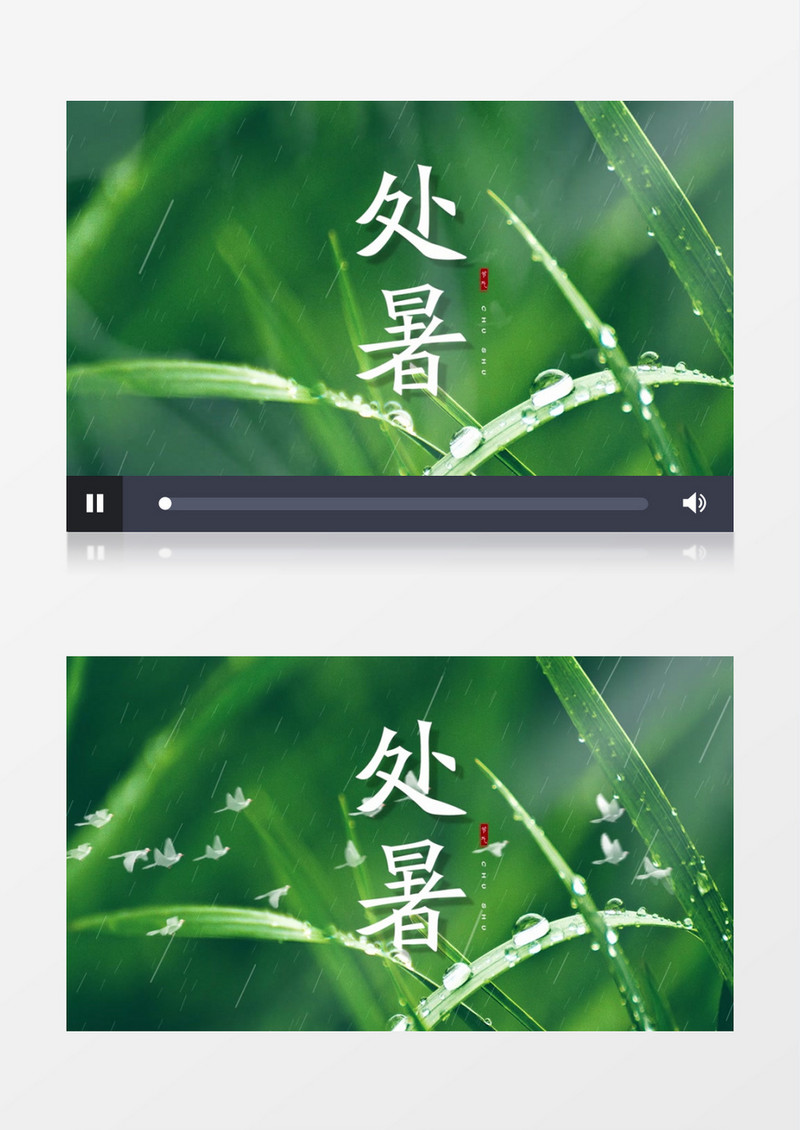 简约清新二十四节气处暑片头展示pr模板