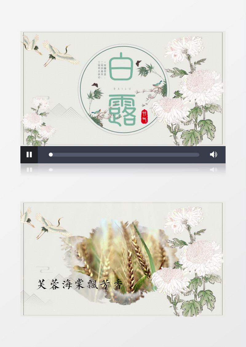 简约素雅二十四节气白露图文展示pr模板
