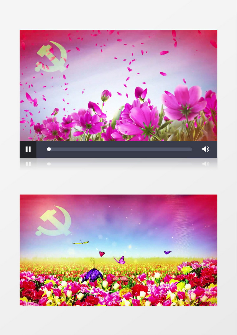 大气唯美花海花朵背景视频