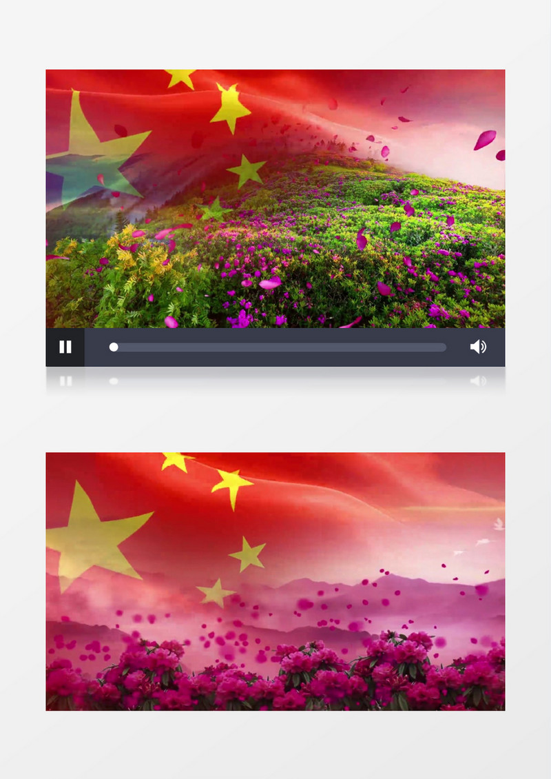 大气唯美花海花朵飘落背景视频