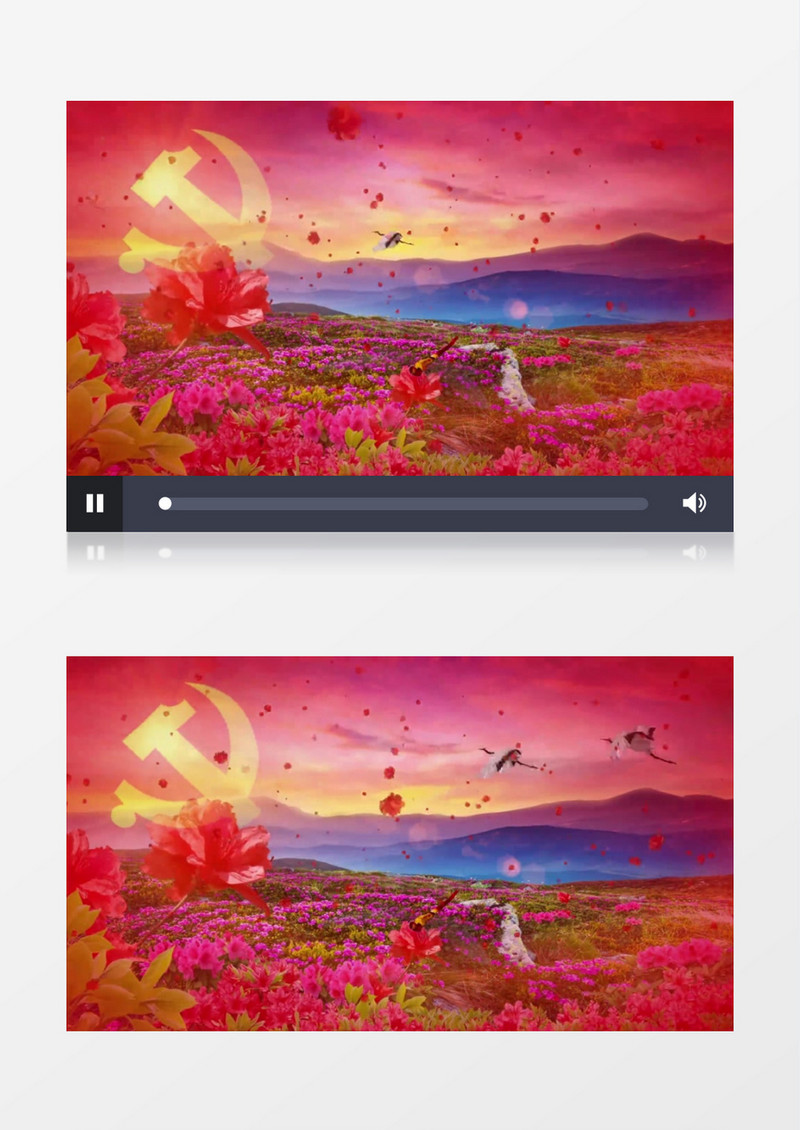 动态唯美花海蝴蝶背景视频