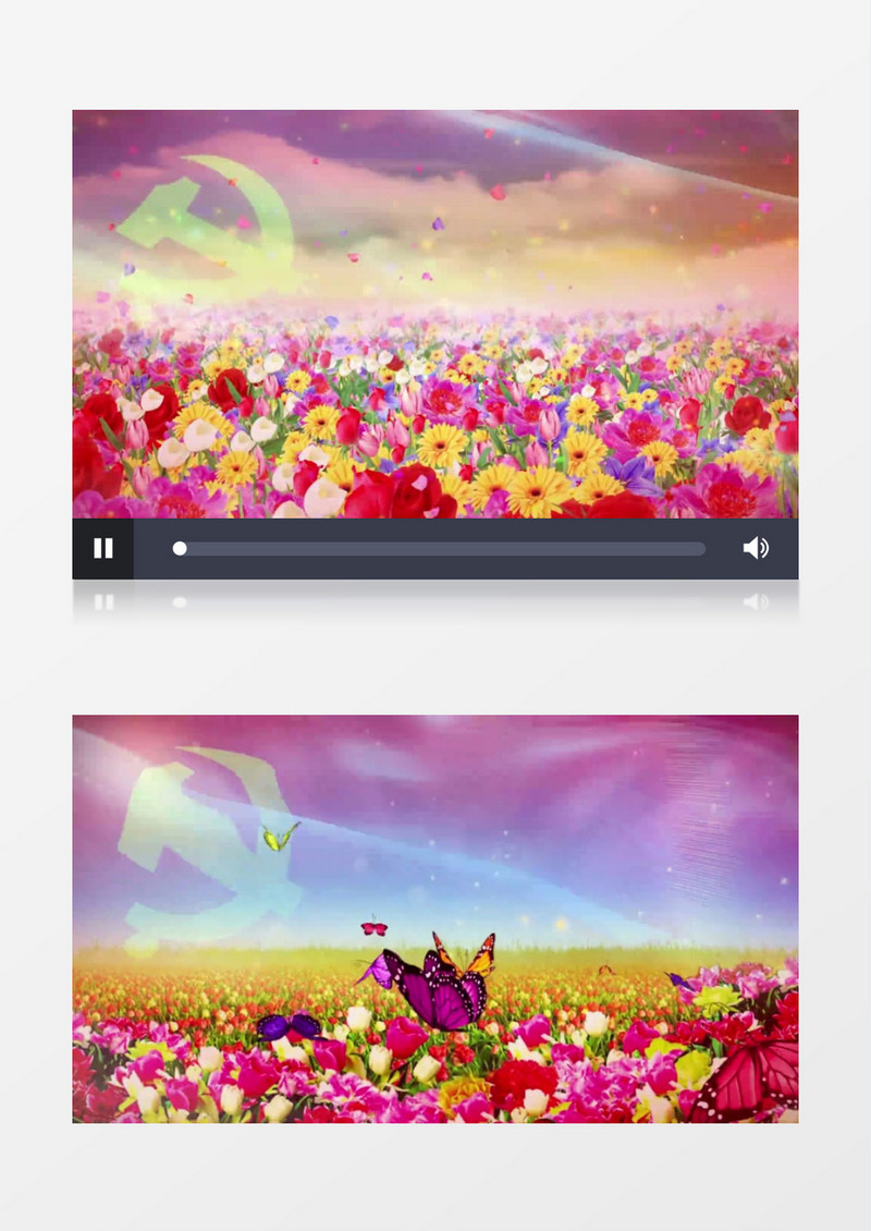 唯美动态花海蝴蝶背景视频