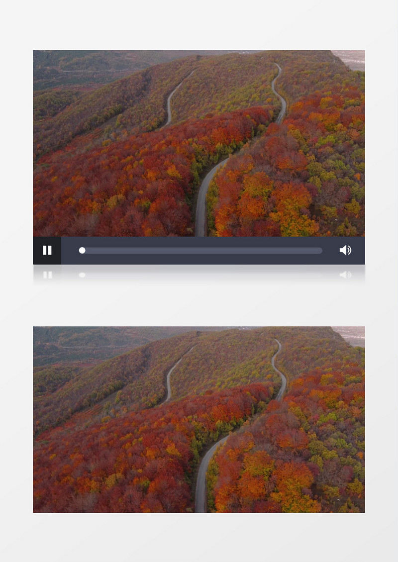秋天漫山的树木树叶逐渐变红实拍视频素材