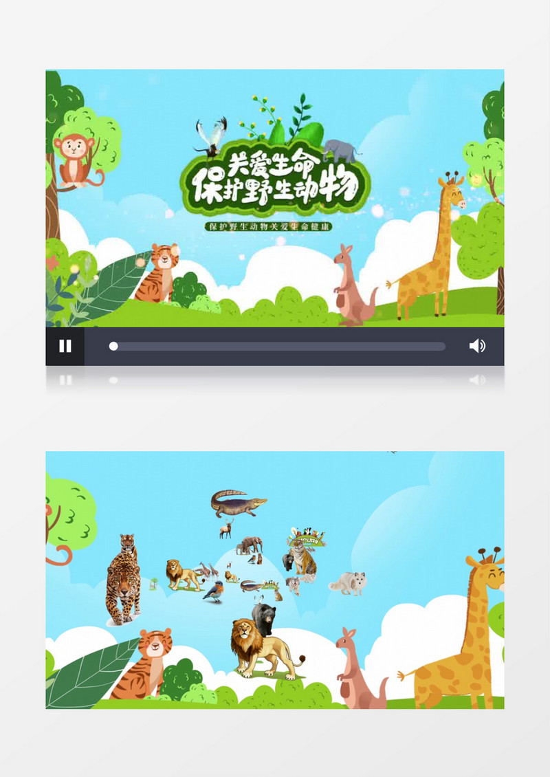 保护动物照片汇聚AE模板