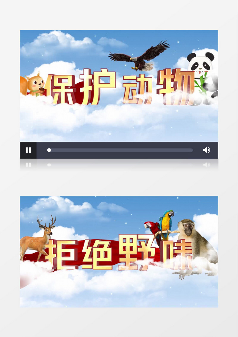 大气保护野生动物宣传AE模板