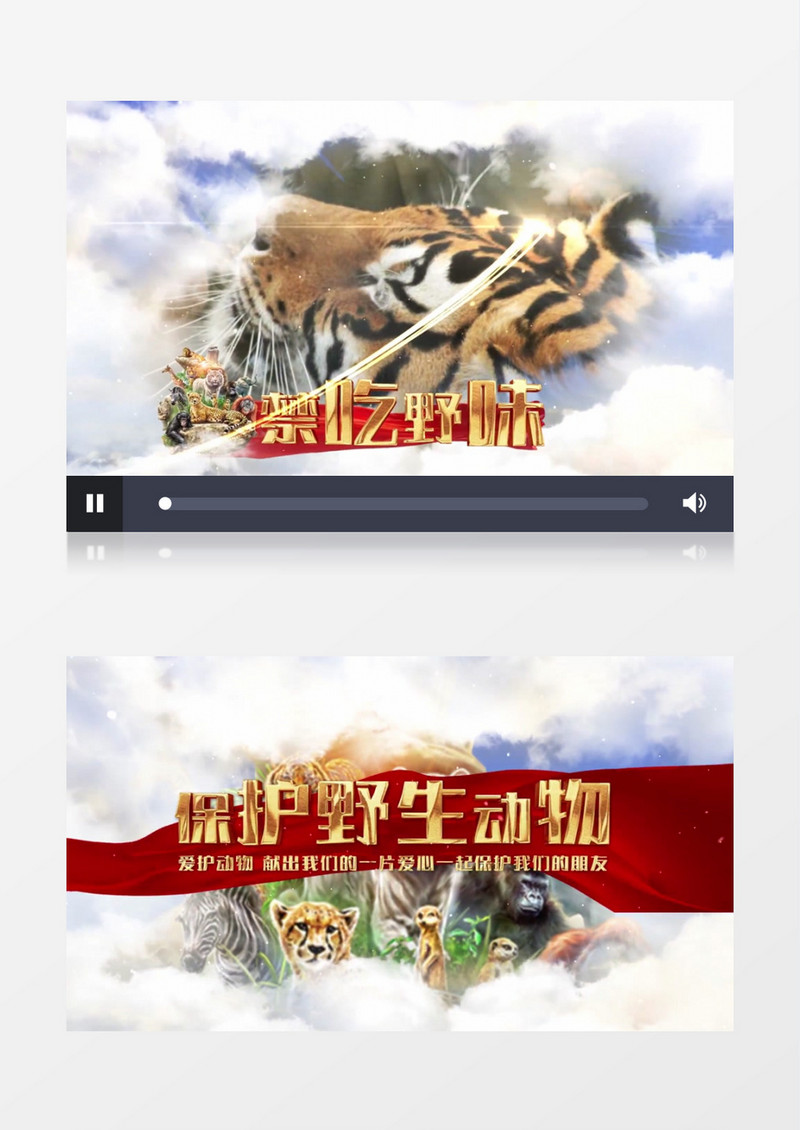 保护野生动物宣传AE模板