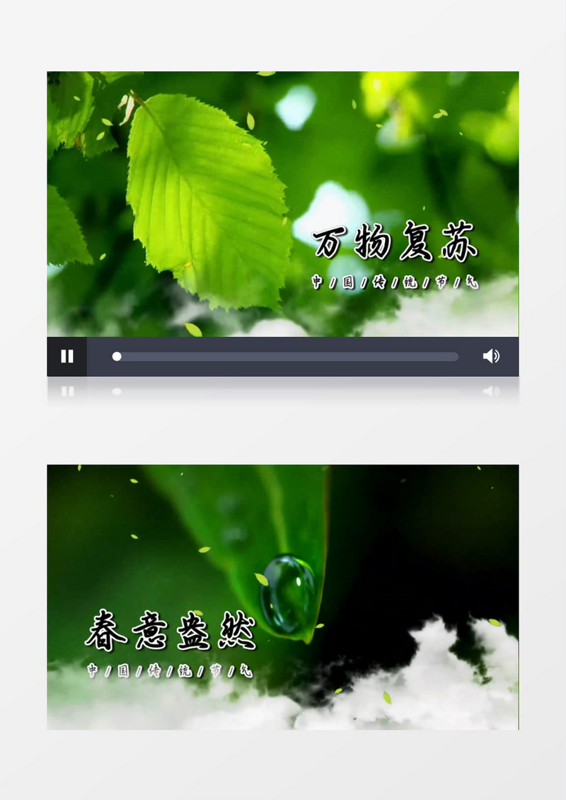清新简约春分节气图文展示会声会影模板
