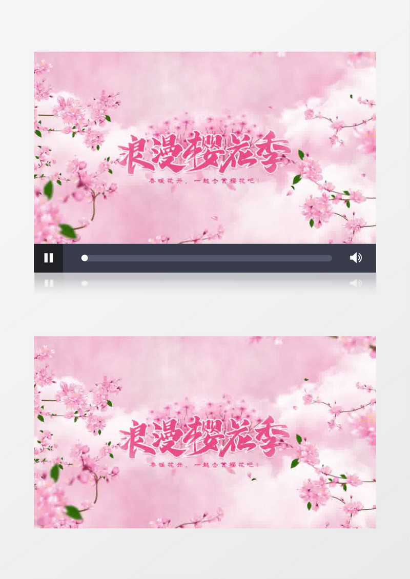唯美樱花节ae视频模板
