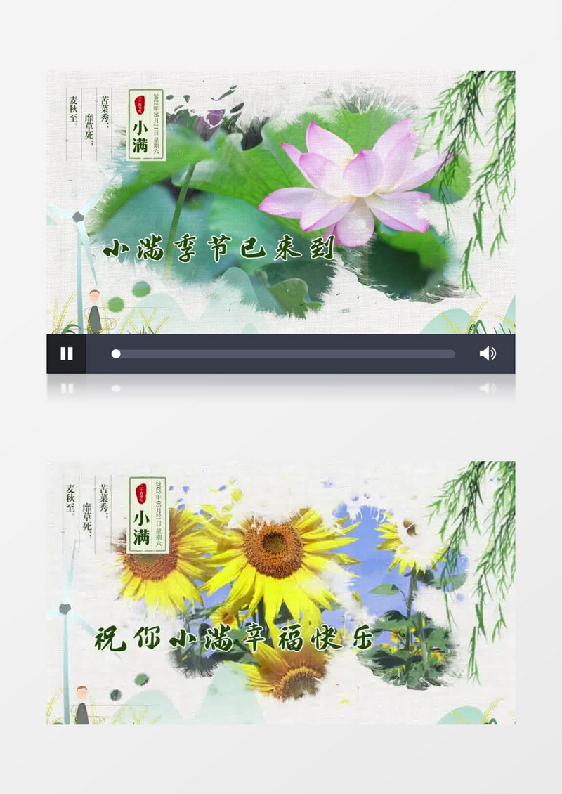 淡雅国风小满图文展示二十四节气pr模板