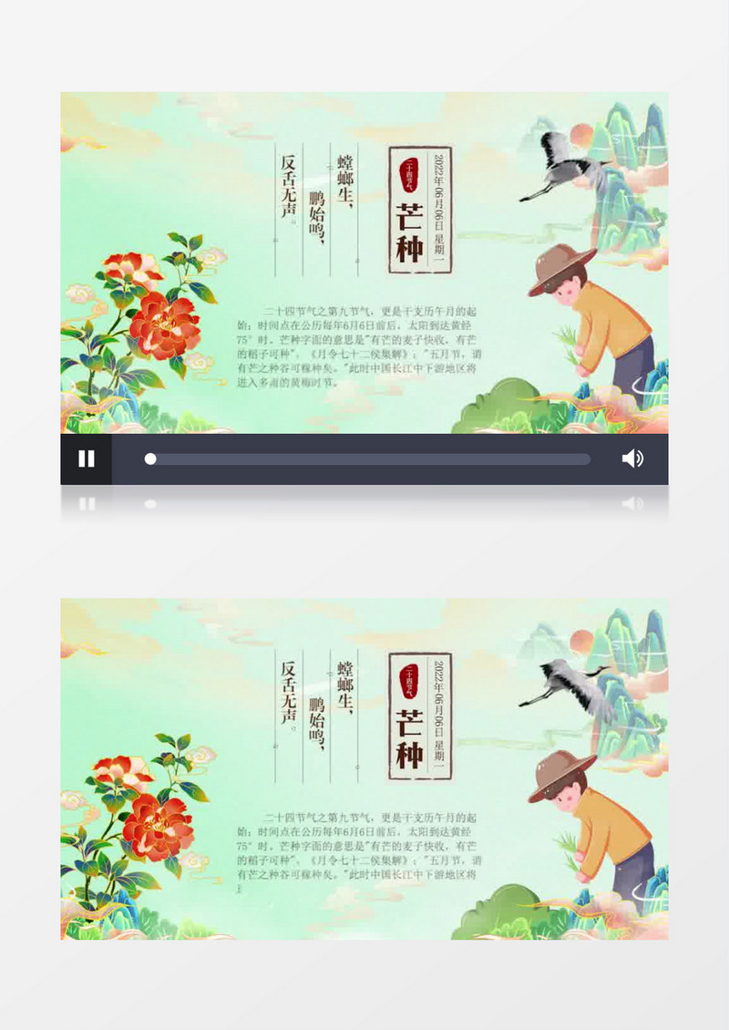 简约国潮风芒种二十四节气片头pr模板
