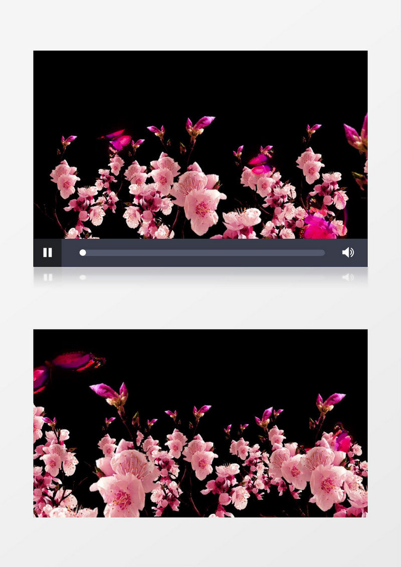 桃花桃树蝴蝶穿梭透明通道