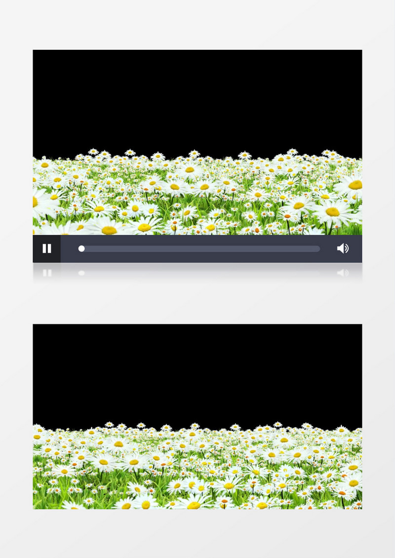 白花绿草穿梭透明通道