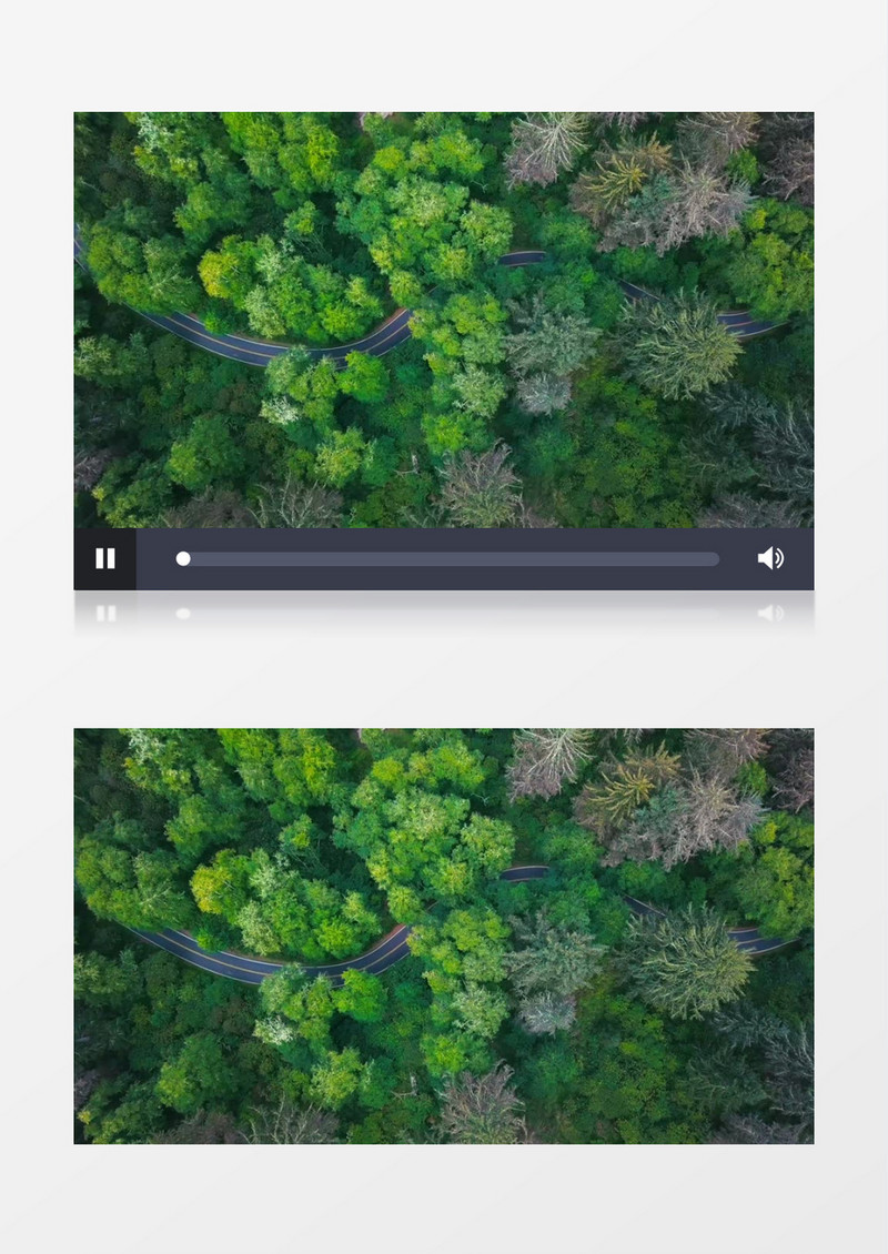 蜿蜒在丛林中的道路实拍视频素材