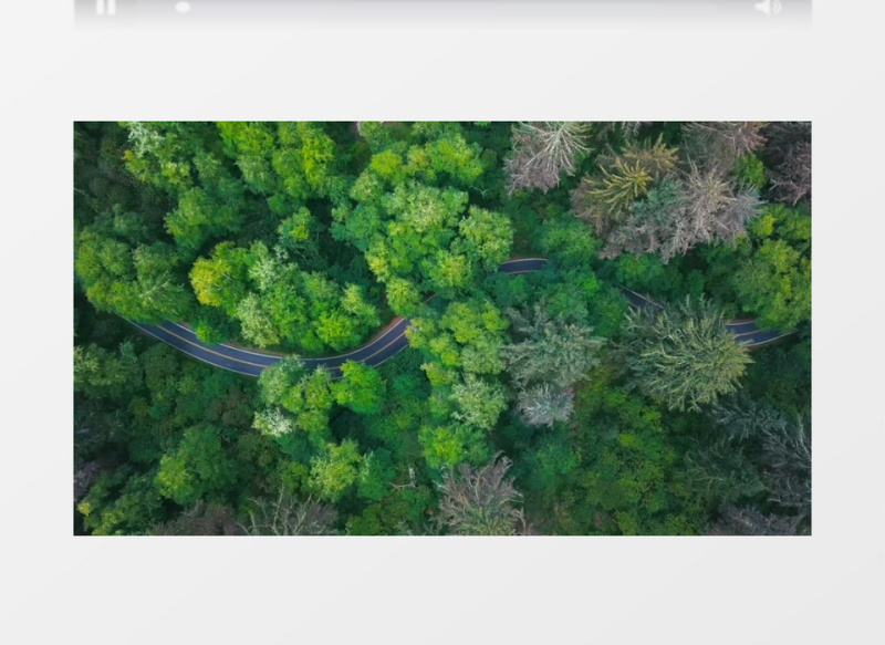 蜿蜒在丛林中的道路实拍视频素材