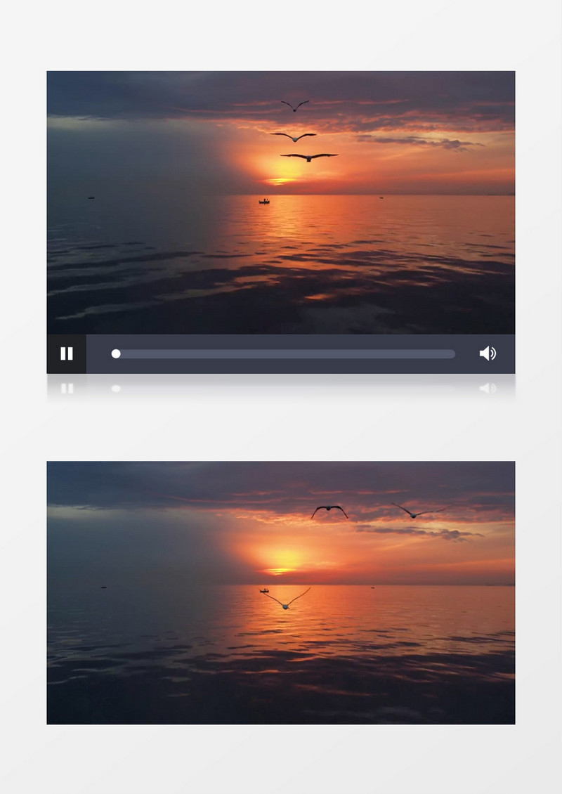 海鸥在夕阳照耀的湖面上飞行实拍视频素材
