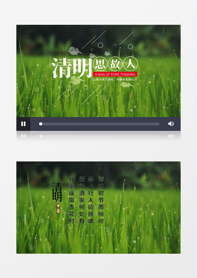 清新二十四节气之清明节宣传片头AE模板