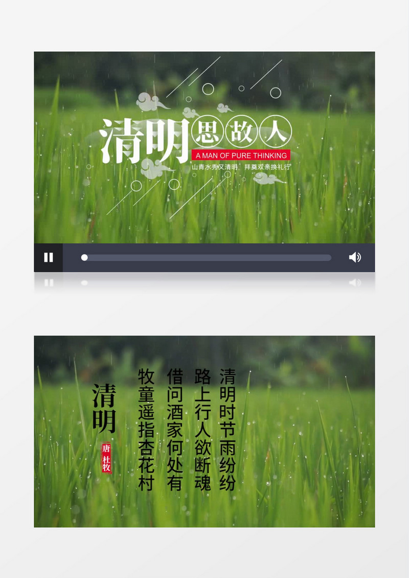 清新二十四节气之清明节宣传片头PR模板