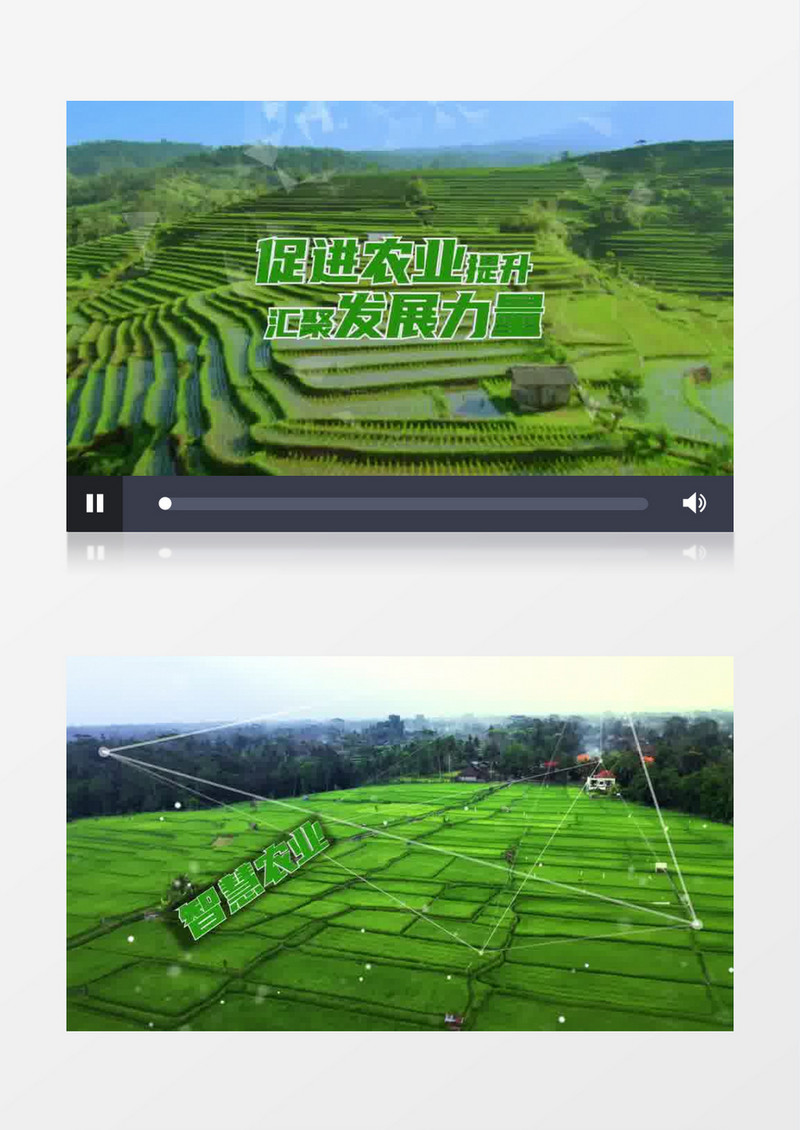 现代化智慧农业乡村振兴AE片头模板