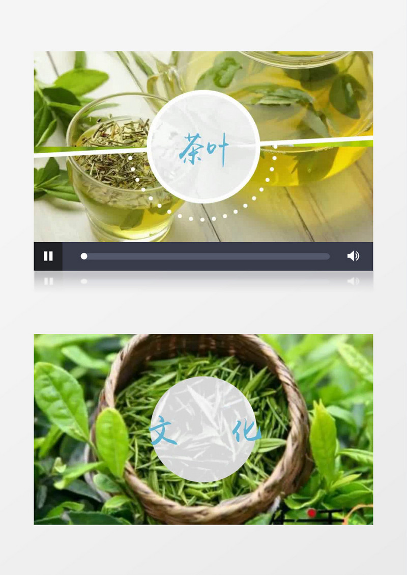 电视台茶叶宣传茶文化宣传栏目包装视频AE模板