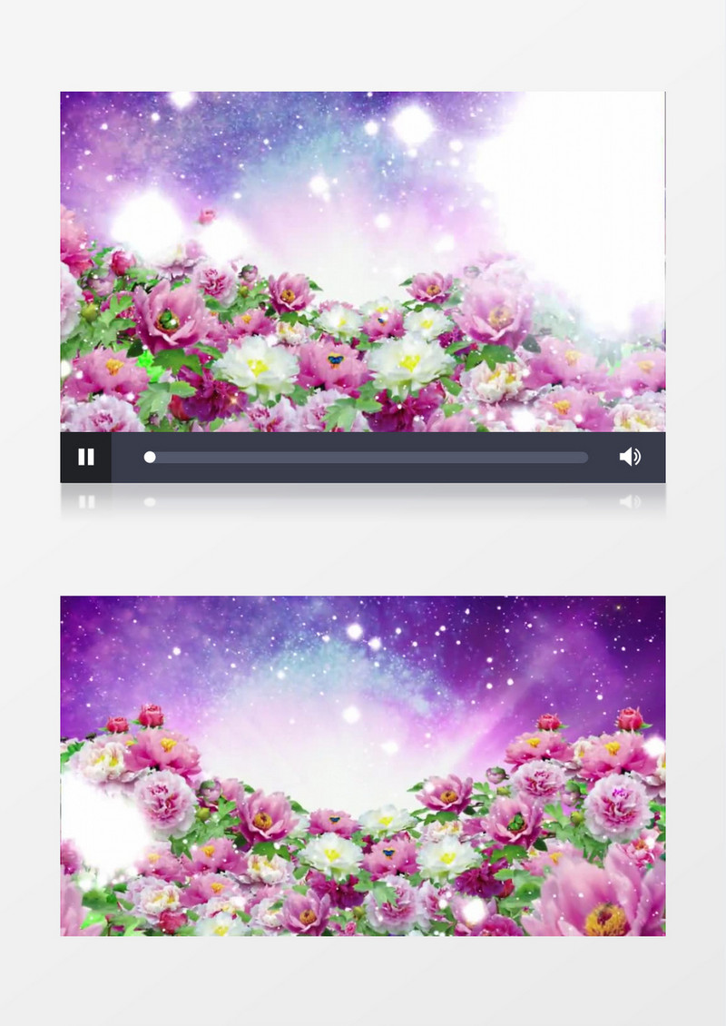 动画动态唯美梦幻牡丹花背景视频素材