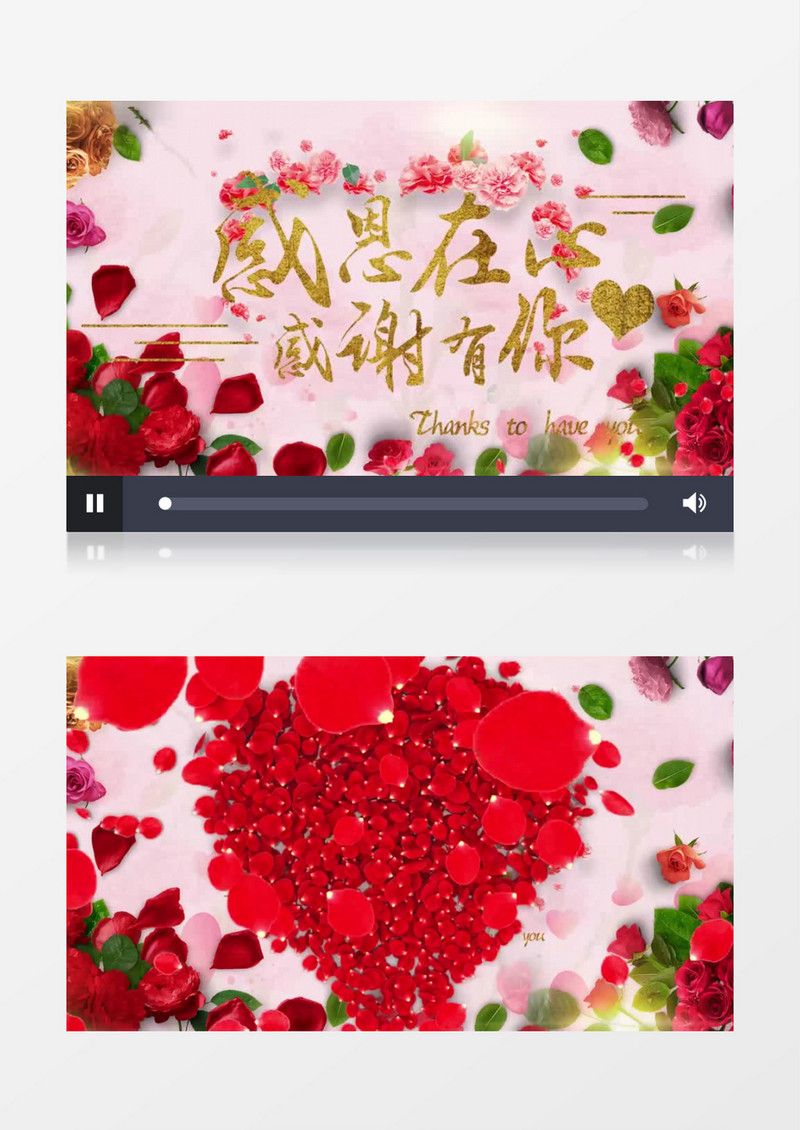 感恩节爱心玫瑰片头AE视频模板