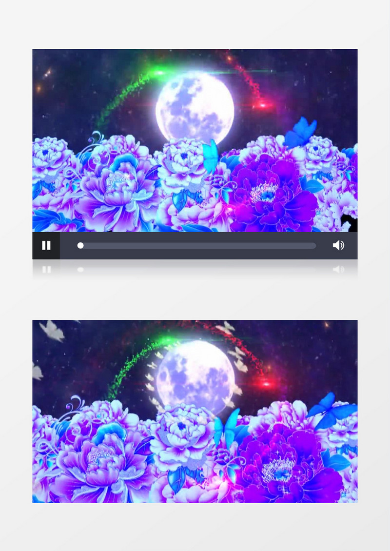 月亮牡丹花蝴蝶飞有音乐视频素材