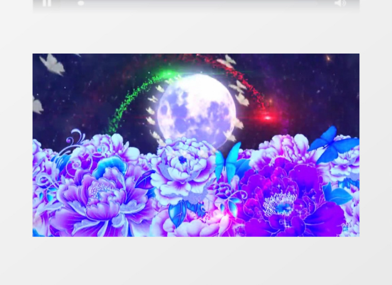 月亮牡丹花蝴蝶飞有音乐视频素材