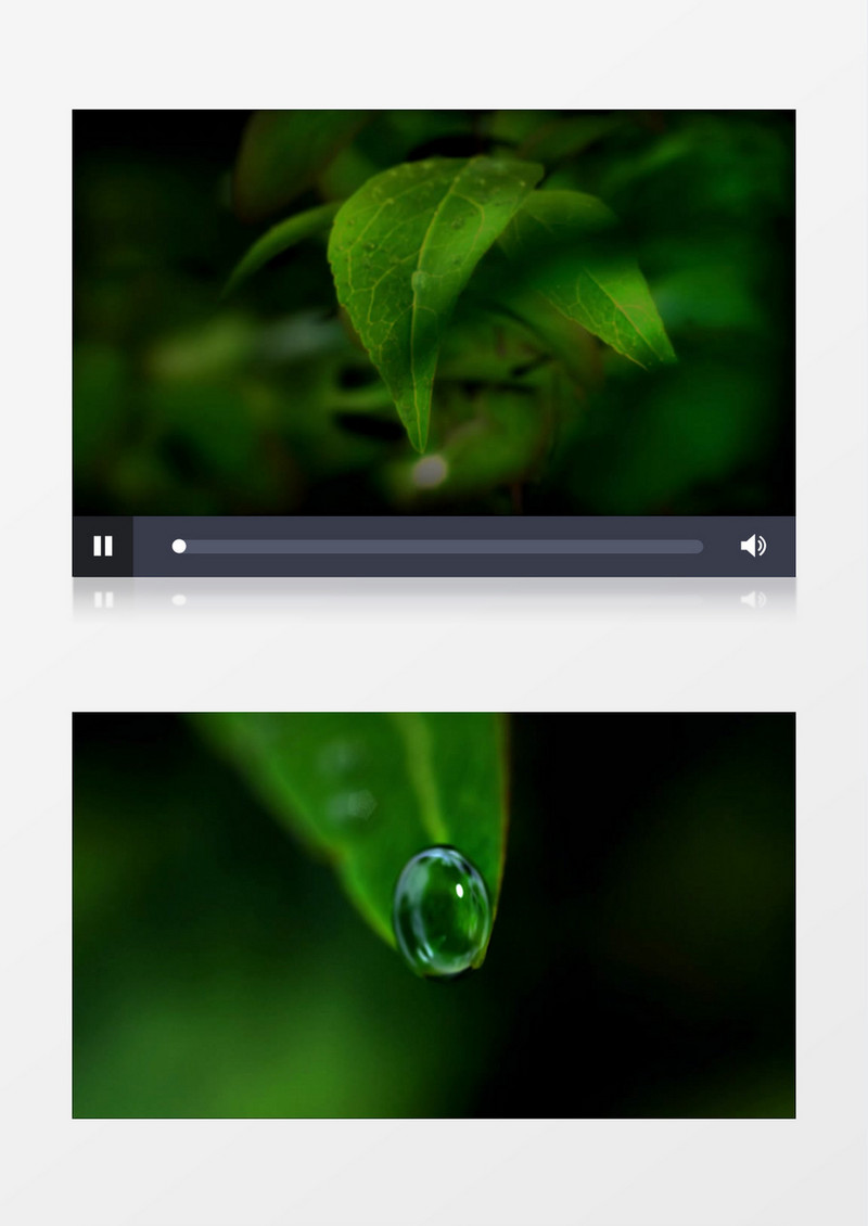 植物生长发展有音乐背景视频