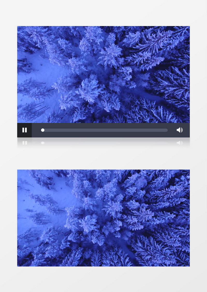 冰原雪松背景视频（有音乐）