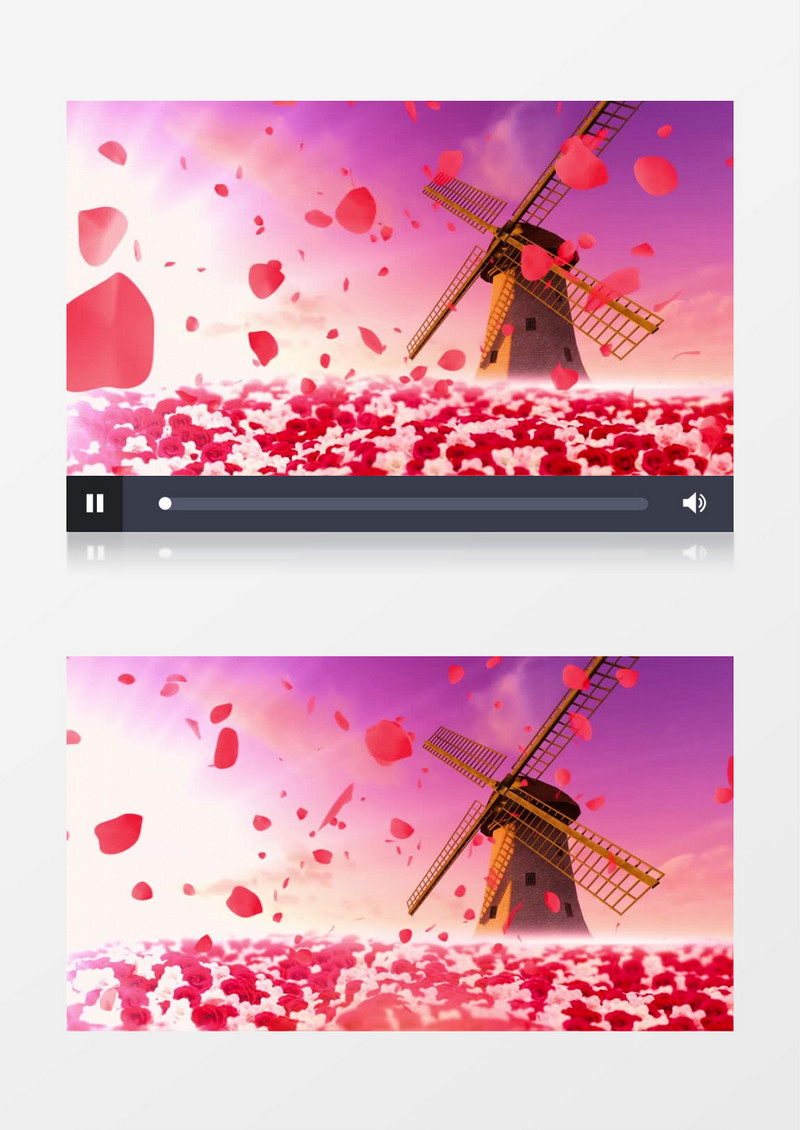 唯美花海风车背景视频(有音乐)