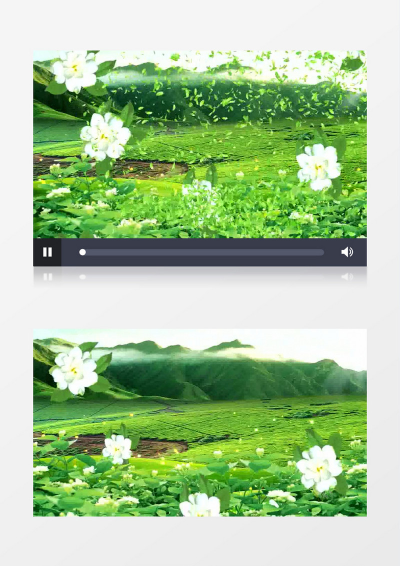 唯美绿色落叶茉莉背景视频(有音乐)