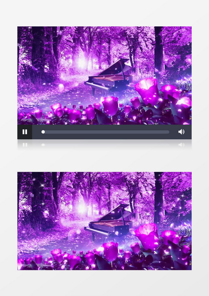 森林落叶钢琴紫色背景视频（有音乐）
