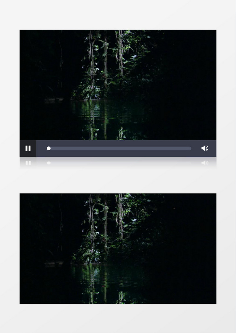 夜晚恐怖树林水面背景视频（有音乐）