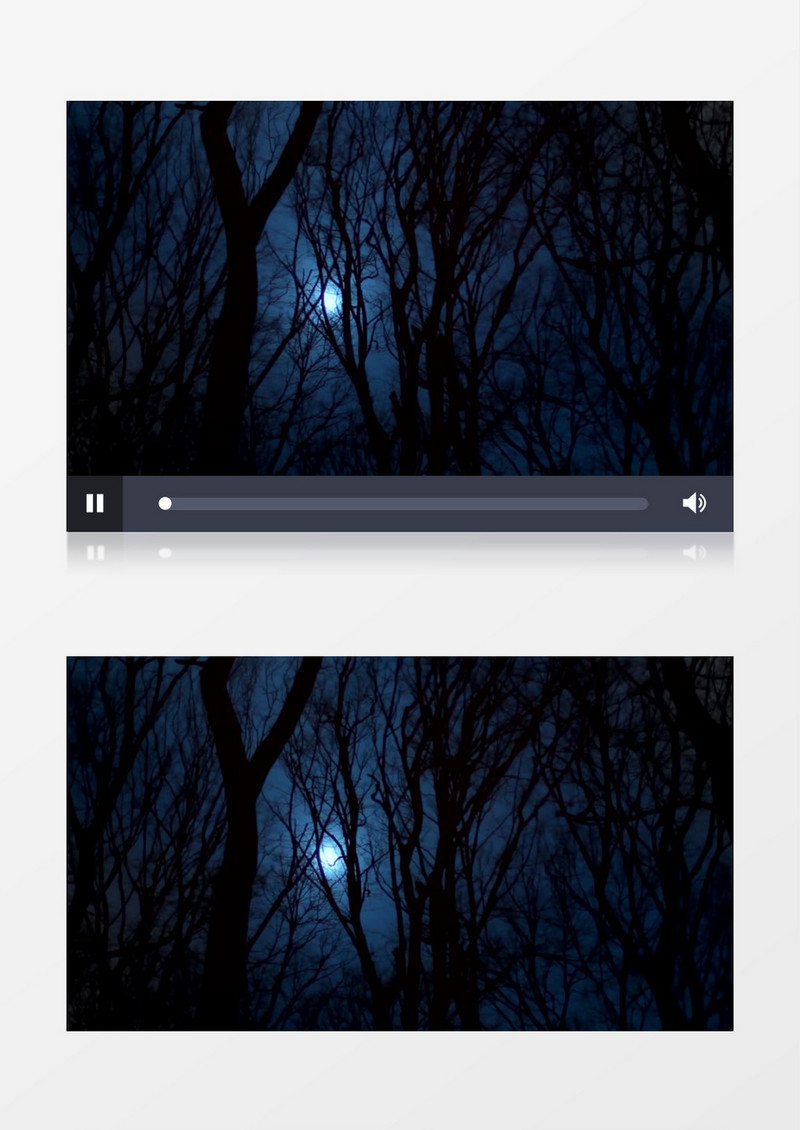 黑夜树林月光背景视频（有音乐）