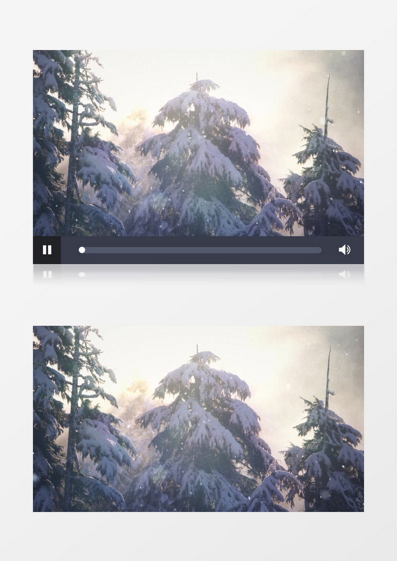 雪花覆盖的针叶松背景视频（有音乐）
