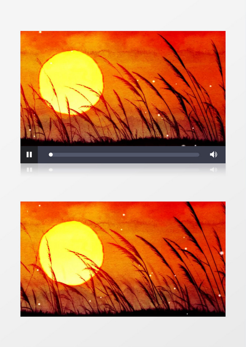 黄昏下的夕阳芦苇背景视频（有音乐）