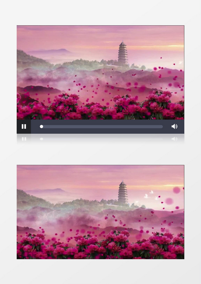 映山红背景视频（有音乐）