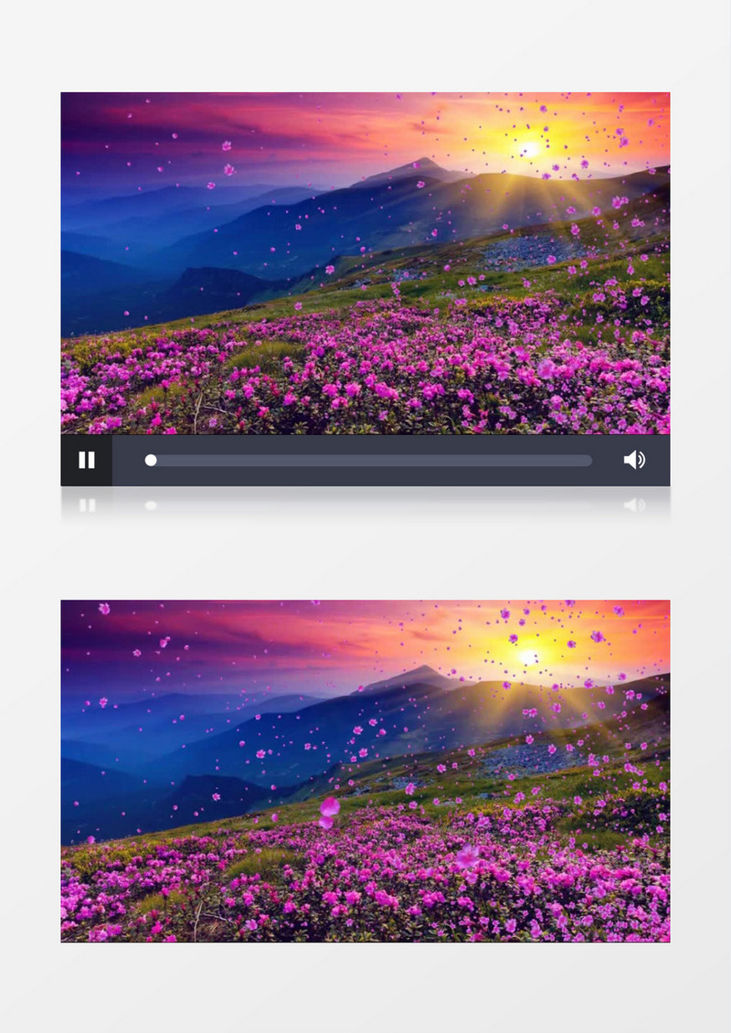  映山红花朵飘飞背景视频（有音乐）