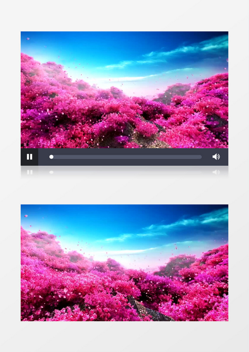 红色花海背景视频（有音乐）