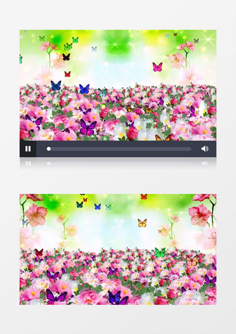 卡通唯美清新牡丹花背景视频（有音乐）