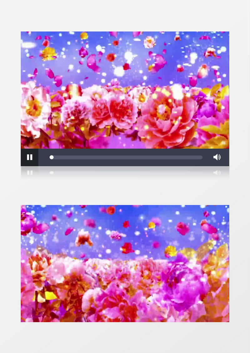 唯美牡丹花开飘落背景视频（有音乐）