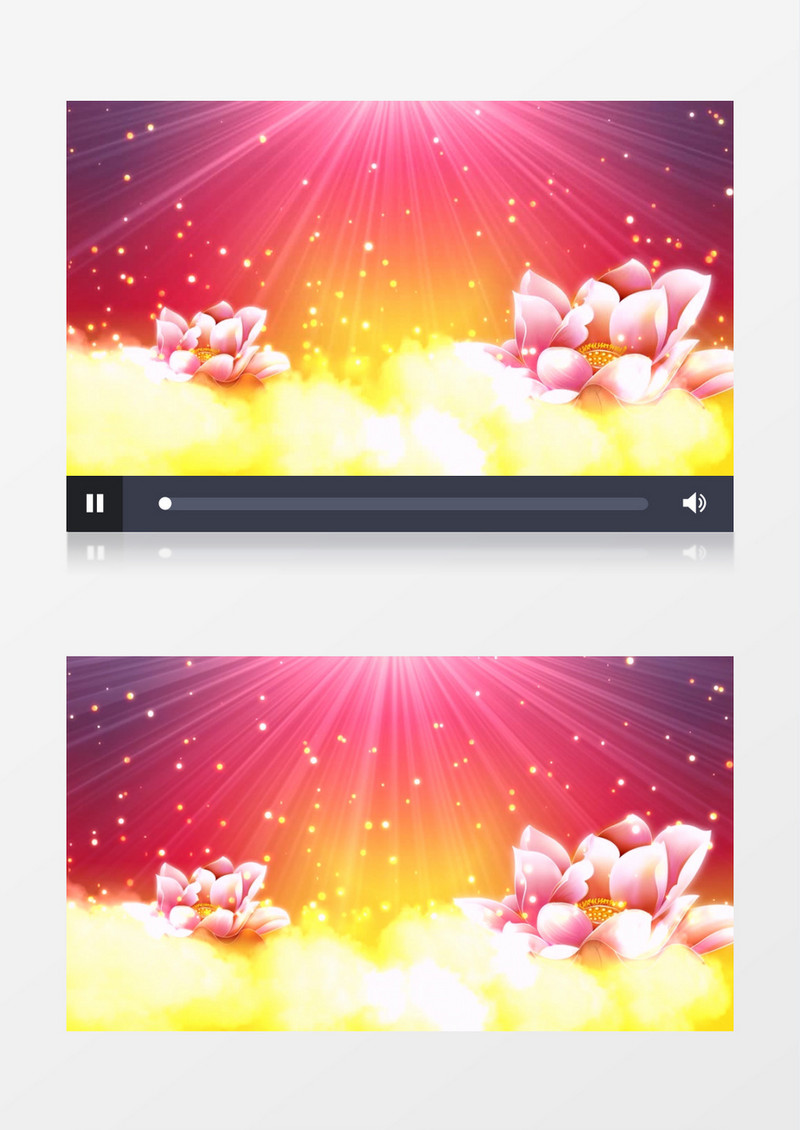 金色唯美粒子荷花背景视频（有音乐）